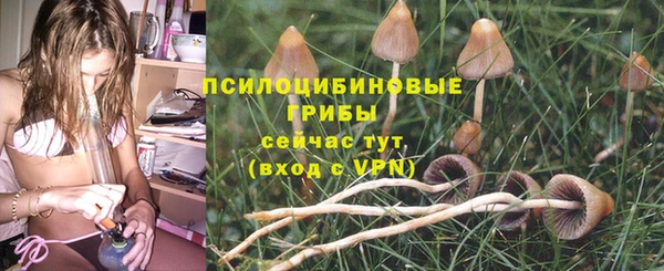 скорость Баксан