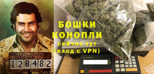 трава Арсеньев