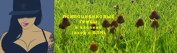трава Арсеньев