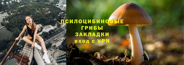 а пвп мука Армянск
