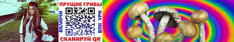 Галлюциногенные грибы Magic Shrooms Оса