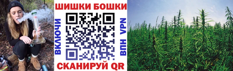 Шишки марихуана гибрид Оса